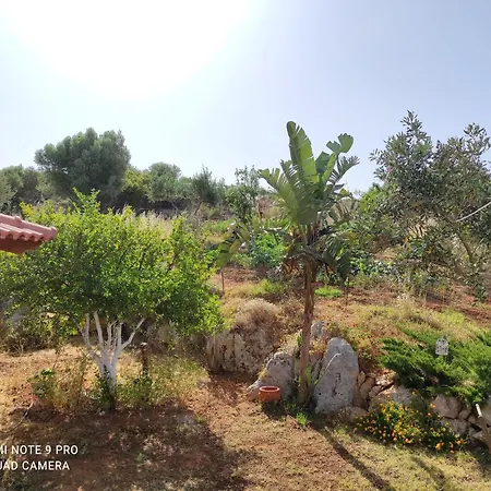 Villa Akrotiri Beach Villa
